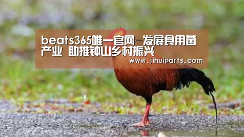 beats365唯一官网-发展食用菌产业 助推钟山乡村振兴(图1)