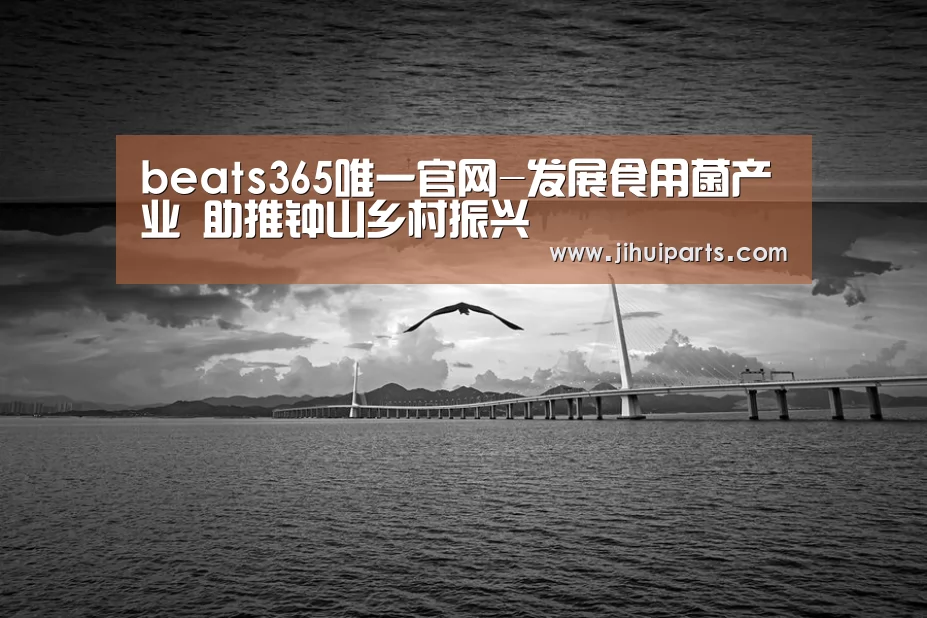 beats365唯一官网