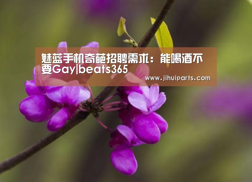 魅蓝手机奇葩招聘需求:能喝酒不要Gay|beats365(图2) beats365唯一官网