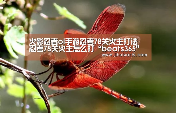 beat365平台入口
