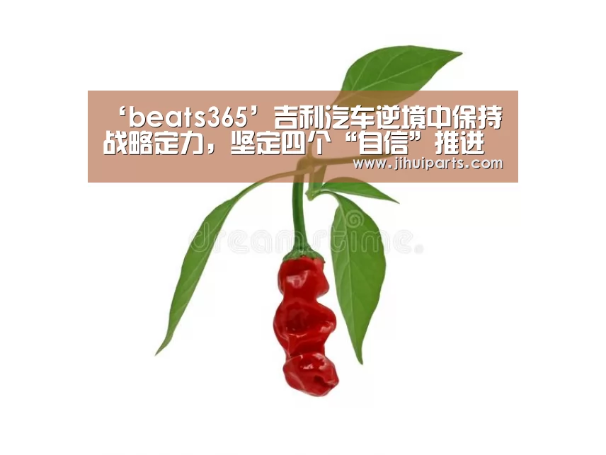 ‘beats365’吉利汽车逆境中保持战略定力,坚定四个“自信”推进高质量发展(图2) ‘beats365’吉利汽车逆境中保持战略定力,坚定四个“自信”推进高质量发展(图2)