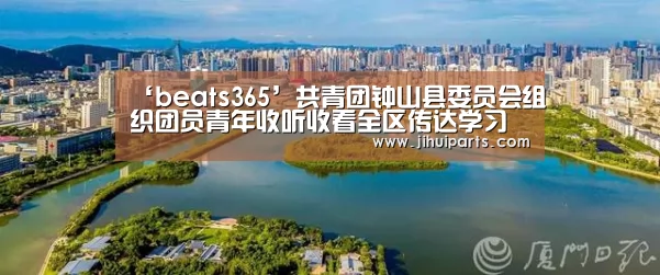 ‘beats365’共青团钟山县委员会组织团员青年收听收看全区传达学习共青团第十八次全国代表大会精神视频会议(图2)